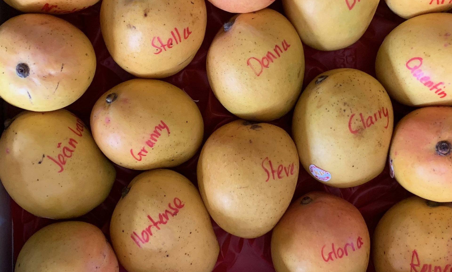 Mangoes-by-Peta-Murray.jpg